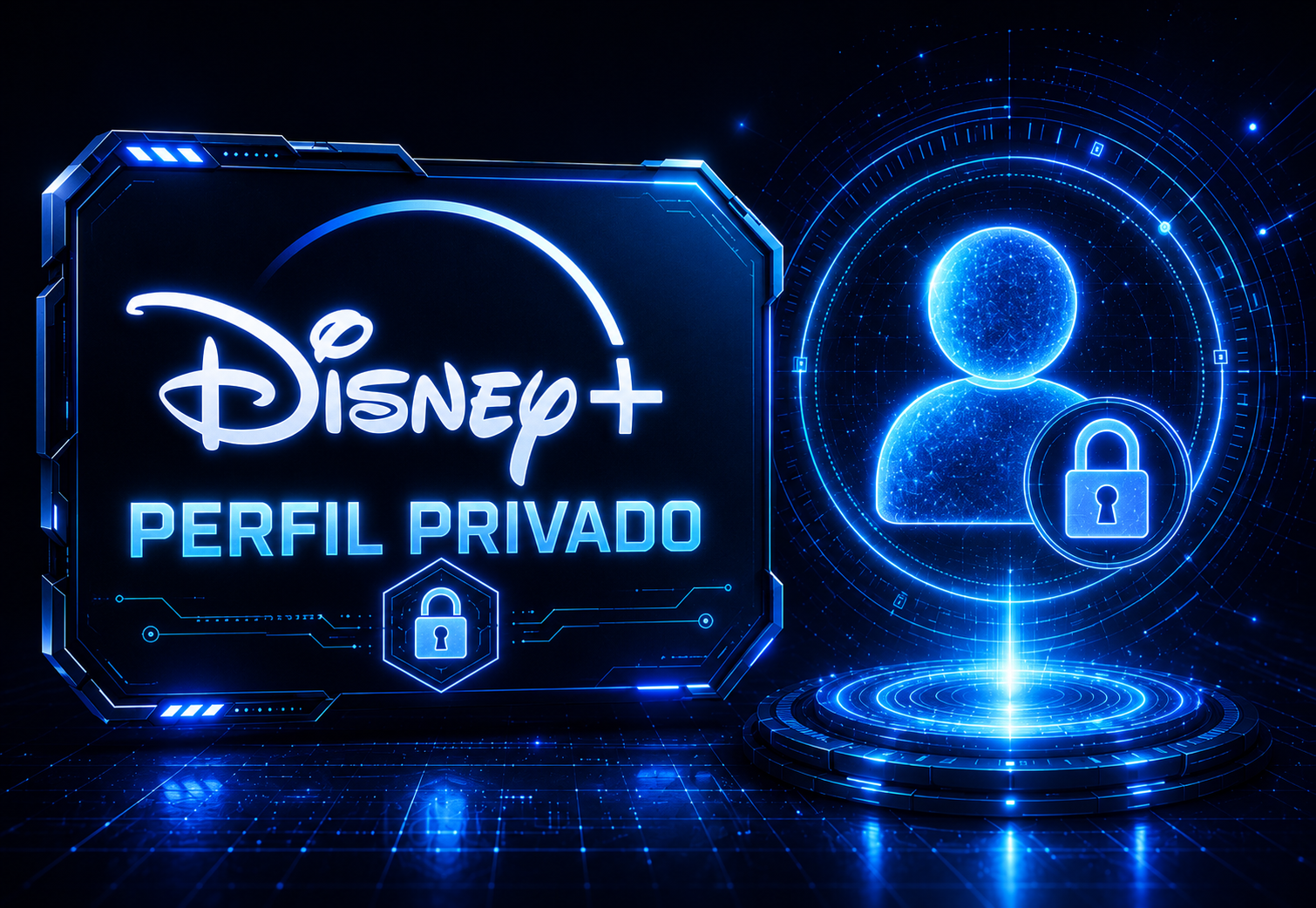 DISNEY+ - PERFIL PRIVADO